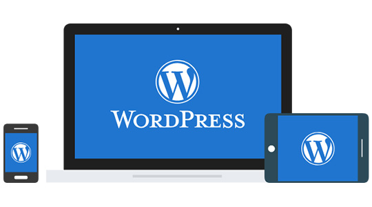 WordPress Tweak Service