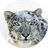 macOS Snow Leopard